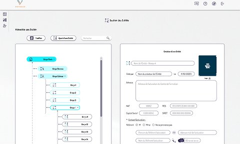 Gestion des entités — Virtualeo